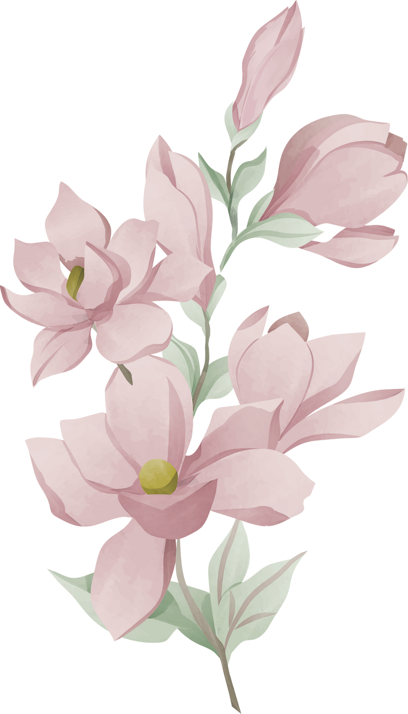 watercolor magnolia flowers